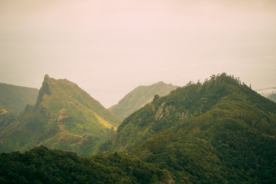 旅行箱里装着广场的暮色